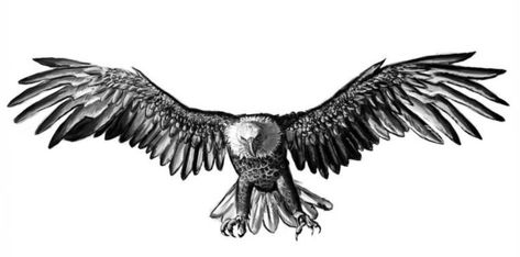 Tattoos Eagle, Eagle Wing Tattoos, Bald Eagle Tattoos, Small Eagle Tattoo, Ink Tattoo Design, Red Tattoo Ideas, Wing Tattoos, Red Ink Tattoo, Eagle Flying