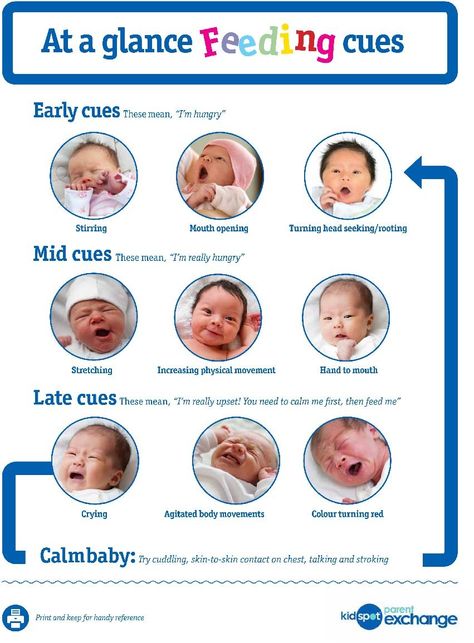 Hungry cues for newborns! :) Hunger Cues Baby Newborns, Baby Hunger Cues, Feeding Cues, Baby Cues, Hunger Cues, Nanny Life, Feeding Therapy, Infant Feeding, Oral Motor