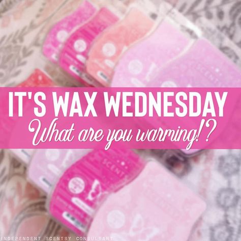 Scentsy Wax Wednesday What Are You Warming, Scentsy Wednesday Posts 2024, Scentsy Days Of The Week, Wax Change Wednesday Scentsy, Scentsy Wax Wednesday Posts, Wax Wednesday Scentsy, Scentsy Aesthetic, Scentsy This Or That, Monday Scentsy Post 2023