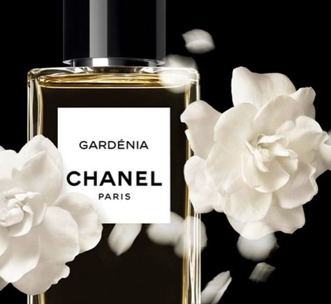 One of the best Gardenia fragraned perfumes ever made :) Chanel Gardenia Chanel Gardenia, Chanel Fragrance, Organic Perfume, Parfum Chanel, Mademoiselle Chanel, Chanel Perfume, Chanel Collection, Chanel Official, 자수 디자인