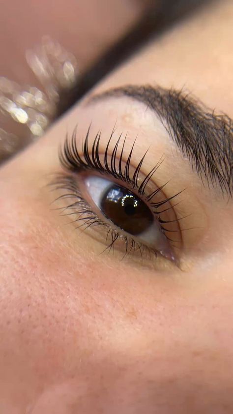 Lash Lift Aesthetic, Long Lashes Natural, Lift Eyelashes, Lash Tint And Lift, Longer Eyelashes Naturally, Makeup Studio Ideas, Lift Lashes, Eyelash Lift And Tint, Eyebrow Lift