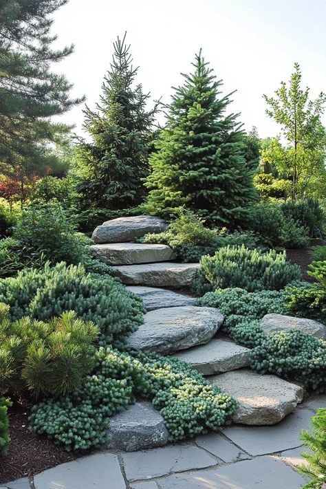 Modern garden landscape evergreens and rocks. Get inspired with innovative evergreen landscaping ideas that keep your garden lush and lively all year round. Evergreen Landscaping Ideas, Modern Garden Landscape, Evergreen Landscaping, Backyard Deck Ideas, Creative Backyard, Garden Stairs, Hillside Landscaping, Rock Garden Landscaping, Evergreen Plants