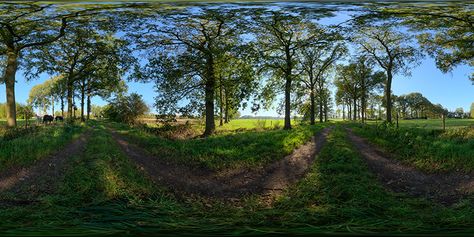 Latitude/longitude view of the HDRI map (tonemapped version) Hdri Images, Environment Map, Brick Texture, Latitude Longitude, Simple Background Images, Phone Wallpaper Design, House Elevation, Wallpaper Design, Female Character Design