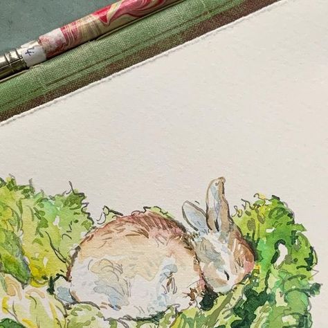 Claire Fletcher on Instagram: "Sleeping Bunny
#cabbage #bunny #penink #watercolour #painting #clairefletcher #illustratorsoninstagram" Sleeping Bunny Drawing, Bunny Sleeping, Bunny With Bow, Bow Watercolor, Hare Art, Sleeping Bunny, Bunny Watercolor, Bunny Painting, Bunny Drawing