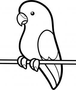 Parakeet colouring page Bird Drawing For Kids, Simple Bird Drawing, Birds For Kids, Bird Outline, Parrot Drawing, Animal Outline, Dibujo Simple, Easy Drawing Steps, Easy Drawings For Beginners