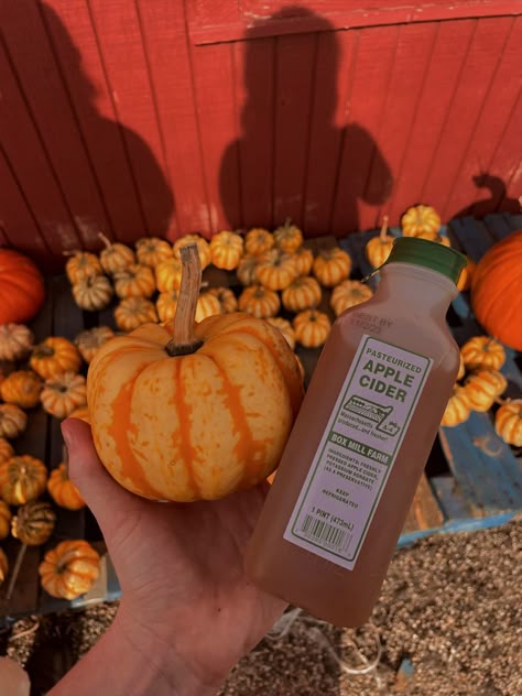 pumpkins and apple cider Apple Cider Drink Aesthetic, Hot Apple Cider Aesthetic, Cider Mill Photoshoot, Apple Cider Aesthetic, 2024 Icon, Mood 2024, Apple Cider Drink, Fall Moodboard, Apple Cider Recipe