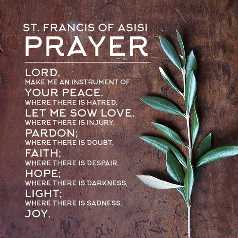 St. Francis of Asisi Prayer #PrayForLife #PrayForPeace #Peace #OliveBranch #Faith #Joy #Love #Light #Hope #Forgiveness St Francis Prayer, St. Francis, Francis Of Assisi Quotes, Francis Of Assisi Prayer, Contemplative Prayer, Dead Animals, Godly Play, Saint Quotes Catholic, Pray For Peace