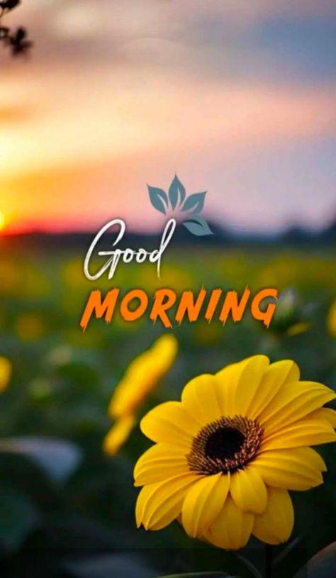 Good Morning Dp, Renatus Wellness, Thursday Good Morning Images, Friday Good Morning Images, Thursday Good Morning, Good Morning Hd Images, New Good Morning Images, Good Morning Hd, Images For Instagram