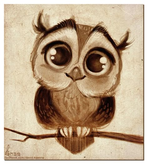 Doodles  cute owl drawned iphone wallpaper http://htctokok-infinity.hu , http://galaxytokok-infinity.hu , http://iphonetokok-infinity.hu Ako Kresliť, Charcoal Drawings, Owls Drawing, Owl Art, Cute Owl, Fantasy Illustration, Drawing Tutorials, Big Eyes, 귀여운 동물