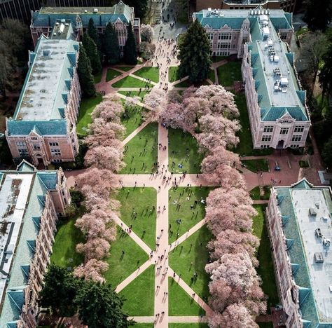 Brothers Room, Princess Academy, Small Apartment Building, School Building Design, Building Aesthetic, Future School, Wizard School, School Campus, College Aesthetic