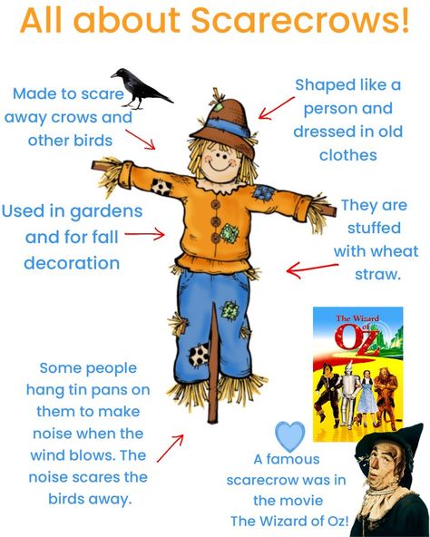 Scarecrow Science Preschool, Scarecrow Science Activities, Scarecrow Activity Preschool, Scarecrow Dramatic Play Preschool, Scarecrow Games Preschool, Scarecrows Activities For Preschool, Scarecrow Theme Preschool Activities, Scarecrow For Preschool, Scarecrow Bible Lesson