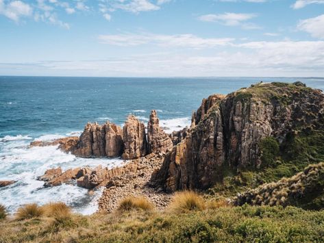 7 Best Walks to Do on Phillip Island - Beyond Wild Places Red Bluff, Phillip Island, Nature Trails, Hiking National Parks, Hiking Essentials, Hiking Tips, Sustainable Travel, Walking Trails, Nature Trail