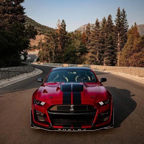 Mustang Shelby Cobra, Red Mustang, Mustang Wallpaper, Mustang Gt500, Aesthetic Cool, Ford Mustang Car, Ford Mustang Shelby Gt500, Mustang Cobra, Cars Uk