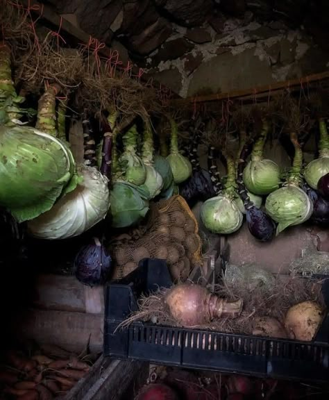 Food Storage Rooms, Root Cellars, Storage Rooms, Homestead Farm, Root Cellar, Homestead Ideas, Homestead Living, Garden Harvest, Food Forest