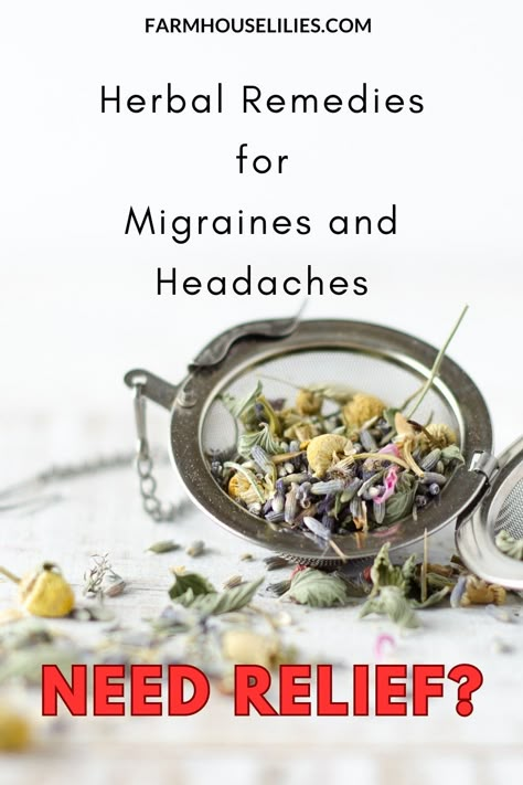 How to make herbal remedies for Headaches and Migraines. These herbs are perfect for helping you fight headaches and migraines with a nice cup of herbal tea. Learn what herbal remedies are best for you and mix your own herbal tea recipe for headache relief. Herbal Remedies For Migraines, Headache Tea Remedies, Migraine Tea Headache Relief, Headache Relief Tea, Herb For Headaches, Herbal Tea For Migraines, Headache Tea Recipe, Teas For Migraines, Herbal Migraine Remedies