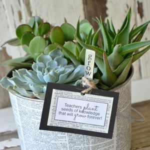 decoupaged succulent garden Teacher Plant Gift, Easy Presents, Staff Motivation, Teachers Diy, Jar Ideas, Best Teacher Gifts, Grade 7, Diy Teacher Gifts, School Teacher Gifts