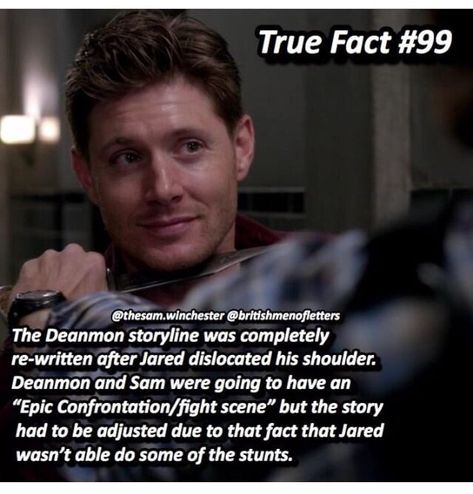 Supernatural Facts, Emmanuelle Vaugier, True Fact, Supernatural Imagines, Supernatural Pictures, Winchester Supernatural, Supernatural Tv Show, Supernatural Destiel, Supernatural Memes