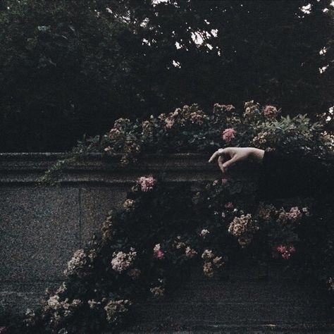 -|The Forgotten Garden|- Witchcore Aesthetic, Yennefer Of Vengerberg, Fotografi Digital, Slytherin Aesthetic, Dark Cottagecore, Dark Paradise, Different Aesthetics, Gothic Aesthetic, Witch Aesthetic