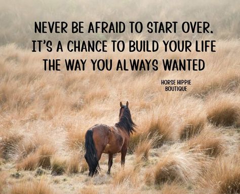 Rodeo Quotes Inspirational, Horses Quotes Inspirational, Cowgirl Quotes Inspirational, Horse Quotes Meaningful, Cute Horse Quotes, Rodeo Quotes, Equine Quotes, Cowgirl Quote, Horse Quotes Funny