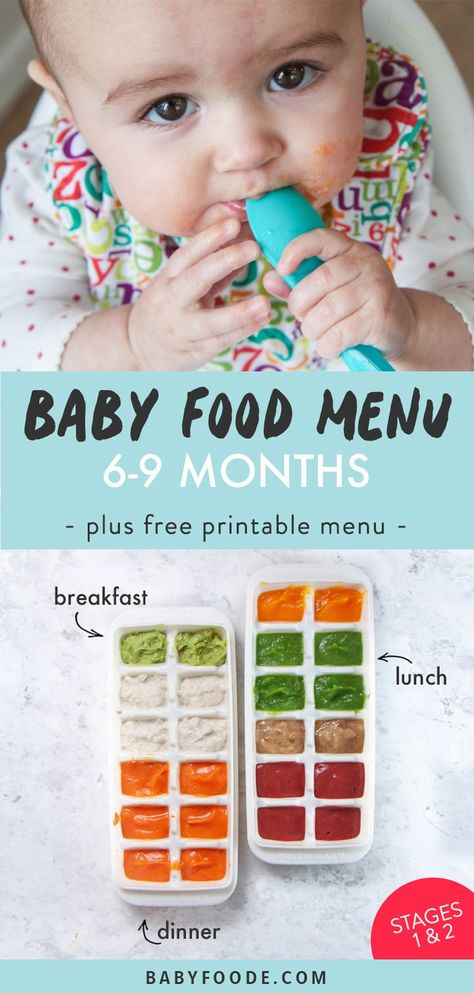 This Baby Food Menu is a great way to get new ideas on what to feed to baby for breakfast, lunch and dinner. Plus, there is a free printable menu so you can map out baby's meals for the week! Great for babies 6-9 months old - Stage 1 and 2. #baby #babymenu #meal #stageone #stagetwo 7 Month Old Baby Food, 9 Month Old Baby Food, 7 Months Baby Food, Baby Meal Plan, Baby Food Puree, Free Printable Menu, 6 Month Baby Food, Baby Solid Food, Baby Lunch