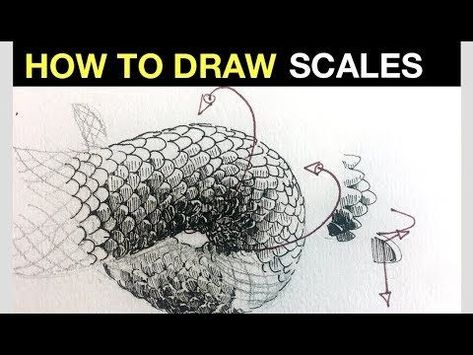 How to draw scales | Pen & Ink Texture Tips Snake Scales Drawing Tutorial, How To Draw Scales, Draw Scales, Ink Texture, Pen Ink Drawing, Snake Drawing, Scale Drawing, Snake Art, New Pen