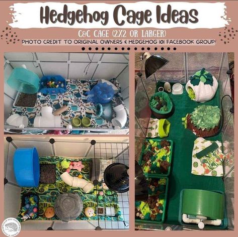 Pygmy Hedgehog Cage, Diy Hedgehog Toys, Hedgehog Pet Cage, Hedgehog Wheel, Hedgehog Room, Hedgehog Care, Hedgehog Cage, C&c Cage, Pygmy Hedgehog