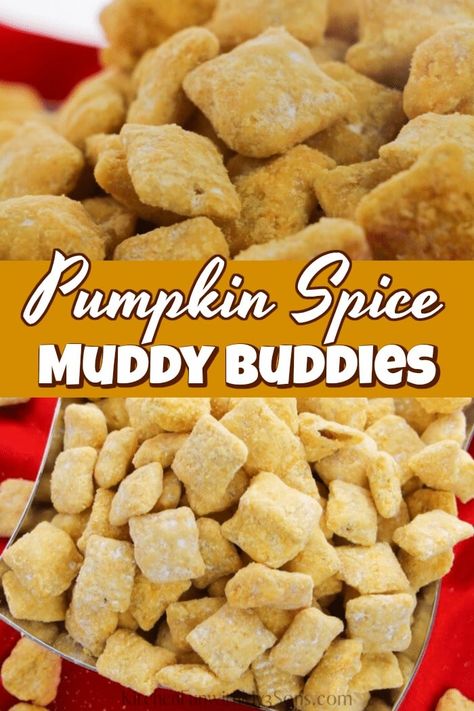 With only 4 ingredients and 10 minute prep, these Pumpkin Spice Muddy Buddies are the perfect Fall treat! This puppy chow mix has the best pumpkin pie spice flavor and yummy snack to serve at Halloween parties. Pumpkin Spice Muddy Buddies Recipe, Fall Chex Mix Recipes, Pumpkin Baking, Puppy Chow Chex Mix Recipe, Halloween Snack Mix, Getting Ready For Fall, Muddy Buddies Recipe, Muddy Buddy, Chelsea's Messy Apron