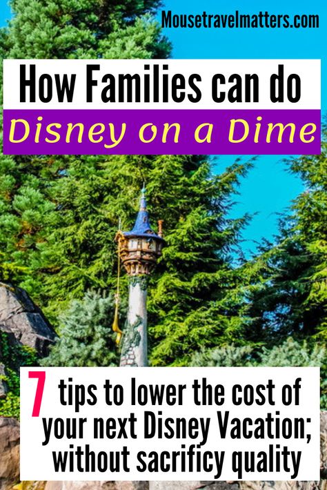 Disney World On A Budget, Disney Cheap, Disney On A Budget, Trip To Disney World, Disney World Vacation Planning, Disneyland Tips, Disney Trip Planning, Disney Vacation Planning, Disney World Florida