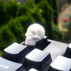 Skull Keycap STL for Cherry MX 3D print model   • Download on cults3d.com • #3Dprinting #3Dprint #3Ddesign #STLmodel #STL file #3Dmodel #3Dprinter #Impression3D #Imprimante3D #Fichier3D #Design #3Dmodeling #3D #impresora3D #impresion3D #3Dmodelo 3d Printed Objects, 3d Printing Projects, Key Caps, Computer Setup, Human Skull, Print Models, 3d Design, 3d Print, 3d Printer