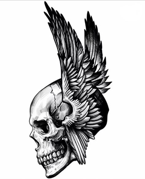 Skull With Wings Tattoo, Skull With Wings, Helmet Tattoo, Skull Reference, Winged Skull, Biker Art, Brush Painting, Wings Tattoo, Black Wings