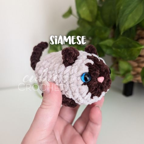 🐈 Pattern Tester Call 🐈 I am looking for some testers for my new No-Sew Mini Kitties crochet pattern! This is a 6 in 1 pattern, including: - solid color cat - siamese - tabby - tuxedo - jellie - calico You only need to apply to test one of the 6 styles, but of course you can make as many of the styles as you want! ✨ To apply ✨ - Like & Save this post - Fill out the form in my bio - come back and comment which one you're most interested in testing - make sure you're following me - OPTIONA... Crochet Siamese Cat, Cat Siamese, Bobble Stitch, I Am Looking, Magic Circle, Crochet Kit, Crochet Cat, Siamese Cats, Crochet Ideas