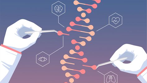 Dna Cloning, Genome Sequencing, Genetic Diseases, Dna Sequence, Genetic Engineering, Gene Therapy, Science Biology, Biotechnology, Genetic