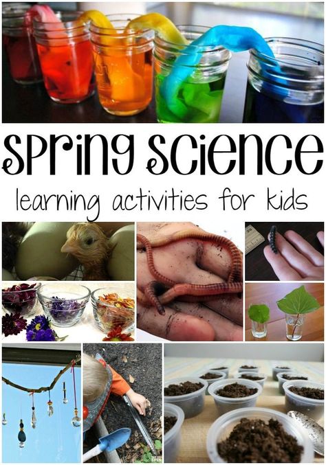 Science Activities are great for getting kids to learn while having fun! These 10 Spring Science Activities are ideal for the homeschool classroom! Fun Science Activities, Spring Science Activities, Slime Science, Spring Science, Stem Classes, Science Learning, Kids Science, Science Projects For Kids, Spring Preschool