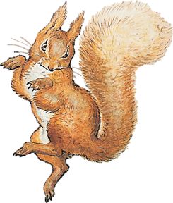 Beatrix Potter Squirrel Nutkin, Beatrix Potter Squirrel, Rattus Rattus, Tales Of Beatrix Potter, Squirrel Nutkin, Beatrix Potter Illustrations, Beatrice Potter, Peter Rabbit Nursery, Fir Cones