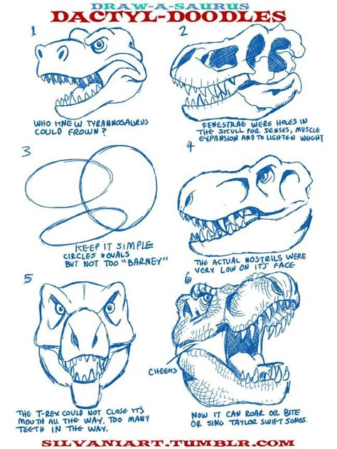 Dino Feet Drawing, Dinosaur Poses Reference, Dino Anatomy, Dinosaur Animation, Rex Drawing, Dinosaur Anatomy, T-rex Art, Dinosaur Reference, Dinosaur Sketch