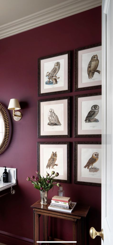 Behr Maroon Paint Colors, Moody Maroon Bedroom, Burgundy And Tan Living Room, Burgundy Feature Wall Living Room, Maroon Office Walls, Burgundy Wall Bedroom, Maroon Accent Wall Living Room, Burgundy Office Walls, Burgundy Study Room