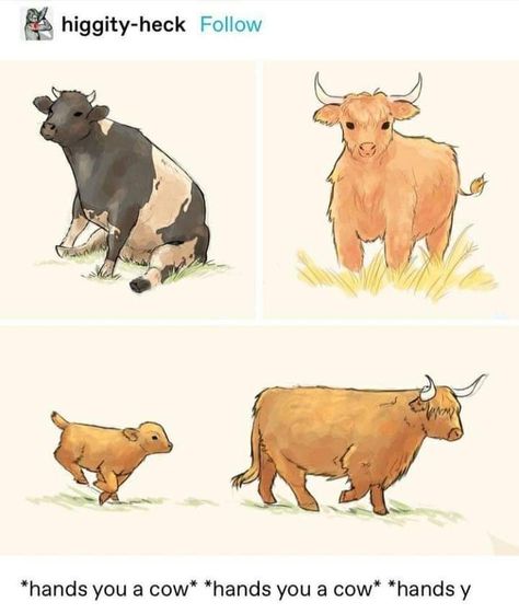 Cow Sketch, Cow Illustration, Cow Drawing, Cow Art, Character Design Animation, Animal Sketches, Cute Cows, Cute Animal Drawings, Kawaii Drawings