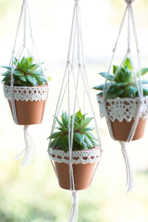 These mini succulent pots are a cute way to display your tiny plants.  This DIY craft project is quick and easy and creates the most adorable hanging planter ever.  They also make adorable Christmas tree ornaments!   Perfect for the gardener, or someone who just loves succulents.  #minipots #succuletplanter #succulentpots #diychristmasornaments #diychristmas #craftideas #easycrafts #christmascrafts Succulent Pots Diy, Wood Succulent Planter, Homemade Air Freshener, Mini Plant Pots, Plant Hanging, Plant Pot Diy, Hanging Succulents, Pot Hanger, Tiny Plants