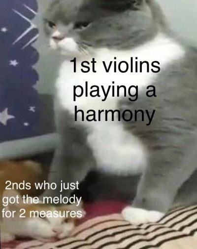 #orchestrahumour #memes #bandmemes #musicmemes #orchestramemes #twosetviolin #musicmemesdaily #viola #violin #bass #piano #cello #cellomemes #pianomemes #violamemes #violinmemes #brass #woodwind #strings #guitar #guitarmemes #trumpet #flute #jazzmemes #orchestra #music Orchestra Pick Up Lines, Violin Relatable, Funny Orchestra Jokes, Violin Memes Funny, Orchestra Class Memes, Orchestra Humor Violin, Orchestra Memes Cello, Orchestra Memes Funny, Violin Jokes