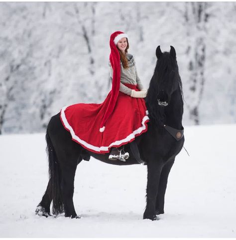 Christmas Photos With Horses, Christmas Horse Costumes, Horse Christmas Photoshoot, Christmas Pictures With Horses, Christmas Horse Photoshoot, Horse Fancy Dress, Horses Christmas, Horse Photo Shoot, Horse Feeder