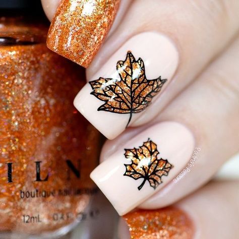 Nail Art Box, Orange Sparkle, Crunchy Leaves, Plate Collection, Glitter Pigment, Nail Art Disney, Holiday Nail Art, Leaf Texture, Glass Nails