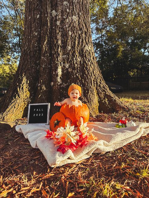 Fall Photoshoot Baby, Baby Fall Photoshoot, Baby Pumpkin Pictures, Halloween Baby Pictures, Halloween Baby Photos, Pumpkin Photoshoot, Fall Baby Photos, Baby Halloween Pumpkin, Baby Holiday Photos