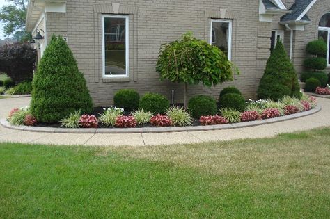 Curved sidewalk in front of side entry garage. Love it; Christmas like trees, high low plans; then tree centerpiece with small shrubs Sidewalk Landscaping, Front Yards Curb Appeal, Small Shrubs, House Landscaping, Front Landscaping, Garden Shrubs, Front House Landscaping, Traditional Landscape, Landscaping Tips