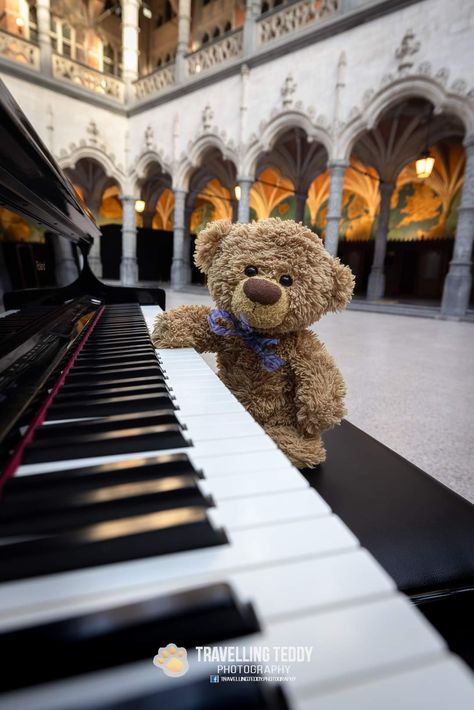 Teddy Photography, Traveling Teddy, Black Teddy Bear, Teddy Pictures, Best Piano, Still Life Images, Alone In The Dark, Teddy Bear Pictures, Tatty Teddy