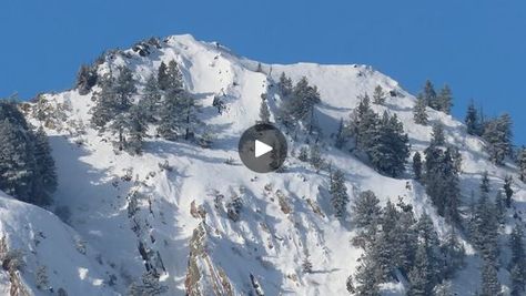 Two Giant Sasquatch in Sardine Canyon | Two Giant Sasquatch in Sardine Canyon #bigfoot #sasquatch #Utah #wildman #creature Link with related videos: Yesterday - Woman & Her Son Observe Two... | By Rocky Mountain Sasquatch Organization | Rocky Mountain Sasquatch just discovered this morning the most recent Bigfoot sighting in Sardine Canyon of Utah, happened yesterday so I headed up here right away to look around. Unfortunately it snowed an inch or two last night and this morning. So it may have filled in any tracks left behind. However was hoping if the two Bigfoot spotted yesterday are still around maybe I can get lucky and capture them on camera. One of the things several people stated on this lady Alicia's Witness Report is her and her son may have seen a couple of those bigfoot cutout Bigfoot Cutout, Funny Sasquatch Art, Sasquatch Funny, Bigfoot Video, Sasquatch Riding A Bike, Recent Bigfoot Sightings, Sasquatch Sightings, Sasquatch Decal, Finding Bigfoot