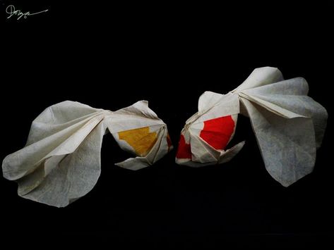 Origami Goldfish, Origami Japan, Paper Fish, Creative Origami, Origami Fish, Design Journal, Fish Sea, Gold Fish, Paper Folding