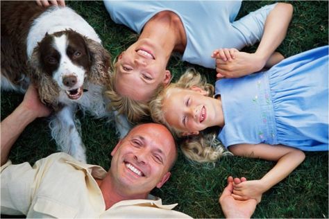 Best Dogs For Families, Photos With Dog, Pet Insurance, American Staffordshire, Pet Safety, Family Posing, Pet Safe, Family Dogs, Dog Photography