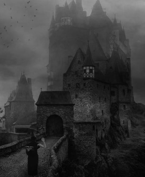 Gothic Castle Aesthetic, Skyrim Vampire, Goth Castle, Aesthetic Witchcraft, Victorian Gothic Aesthetic, Vampire House, Darkest Academia, Vampire Castle, Dracula Castle