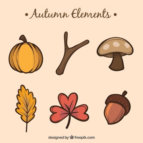 Autumn Doodles, Autumn Elements, Leaves Doodle, Watercolor Autumn Leaves, Fall Drawings, Dibujo Simple, Autumn Instagram, Nature Autumn, Hand Doodles