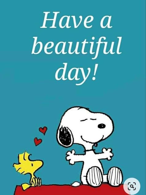 Good Day Images, Great Day Quotes, Snoopy Museum, Friends Are Family Quotes, Charlie Brown Quotes, Good Day Wishes, Good Morning Snoopy, Good Morning Happy Monday, Day Pictures